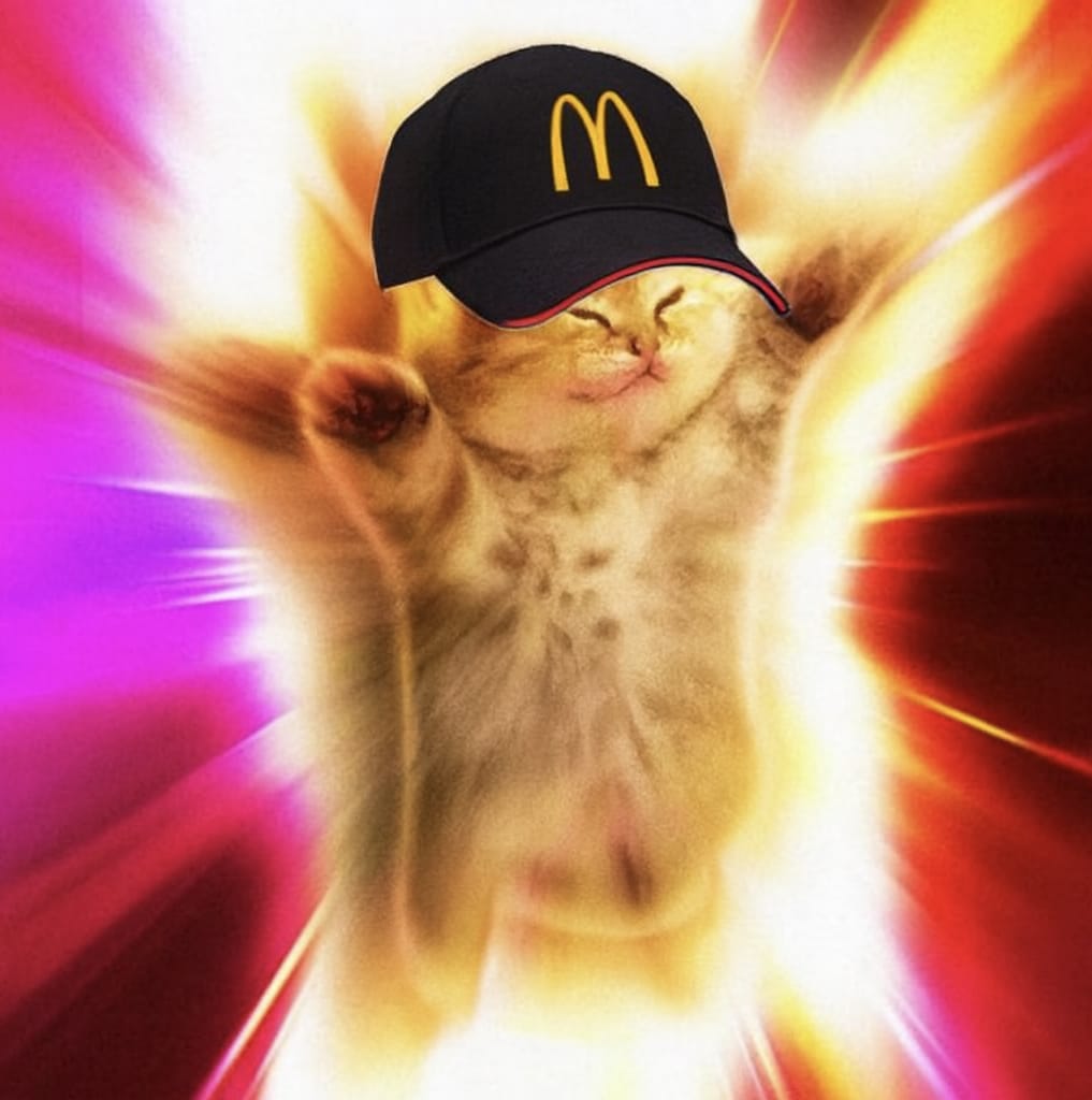Quit Cat